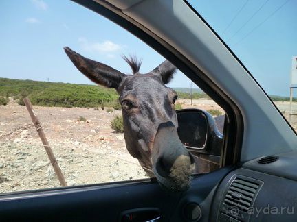 Наш семейный отдых на Северном Кипре -2
