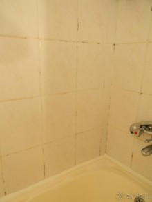 фото Master Family Club