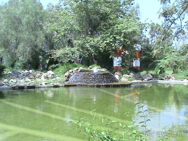 территория отеля