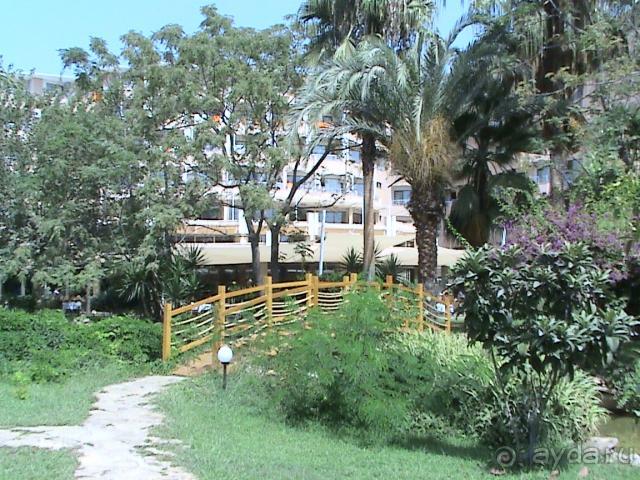 территория