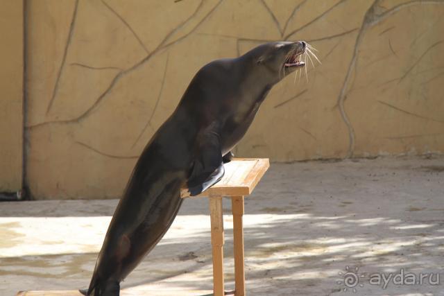 фото Caribbean World Borj Sedria