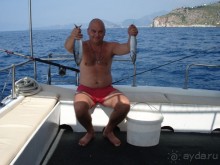 наловили скумбрии