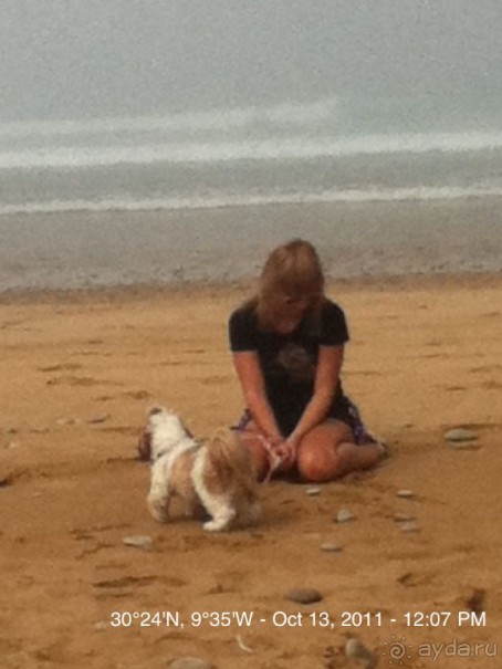 а сзади океан