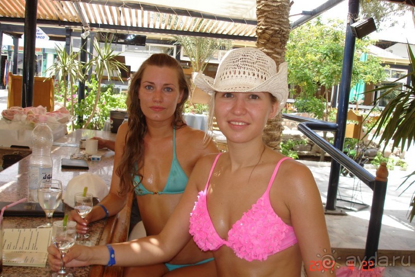 на пляжном баре, за приезд!!!