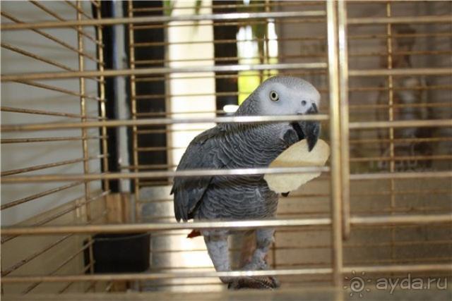 фото Riadh Palms Hotel