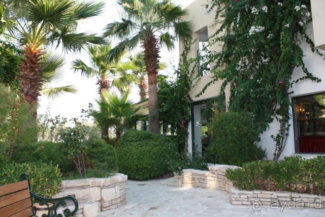 фото Riadh Palms Hotel