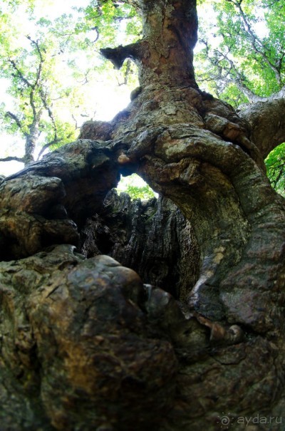 Непутевые туристы или как мы посетили Крым.