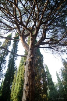 Парк соседнего отеля.