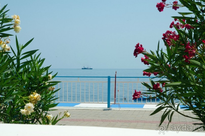 вид из номера.