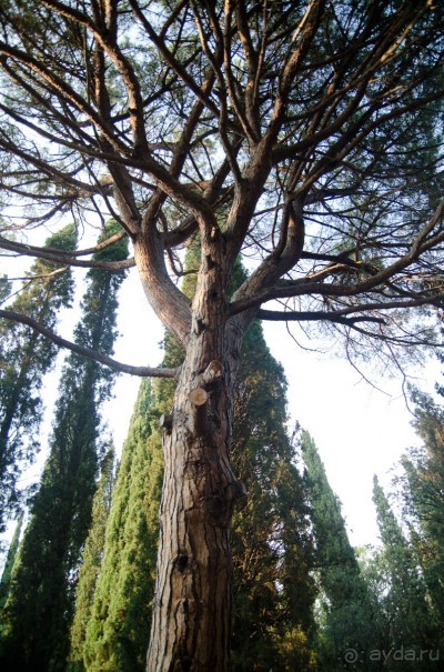 Парк соседнего отеля.