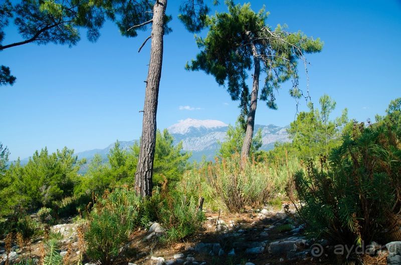 Непутевые туристы или как мы посетили Турцию.