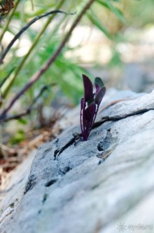 Непутевые туристы или как мы посетили Турцию.