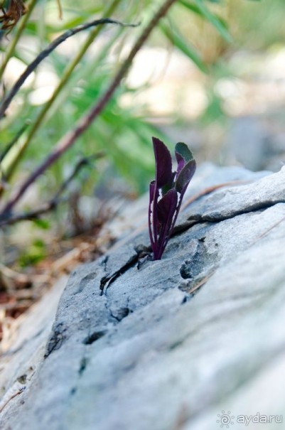 Непутевые туристы или как мы посетили Турцию.