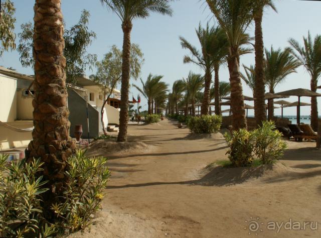 фото Кацивели