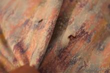 ужасен этот отель