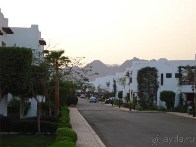 фото Ялта-Интурист