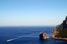 фото Flamboyan Caribe