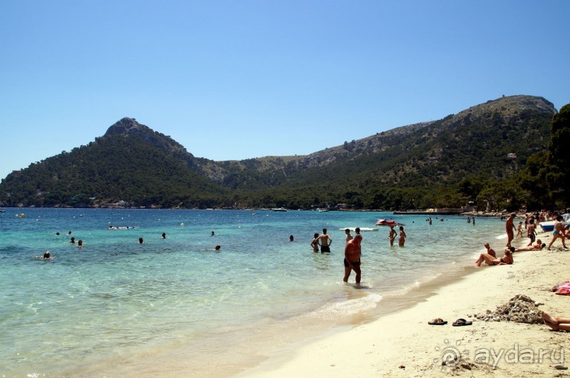 фото Flamboyan Caribe