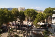 фото Flamboyan Caribe