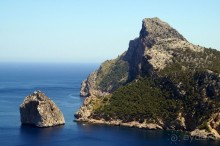 фото Flamboyan Caribe