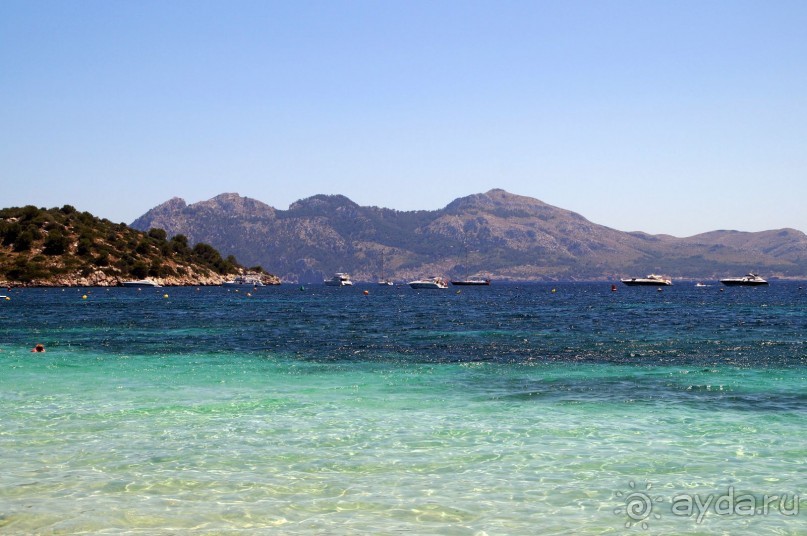 фото Flamboyan Caribe