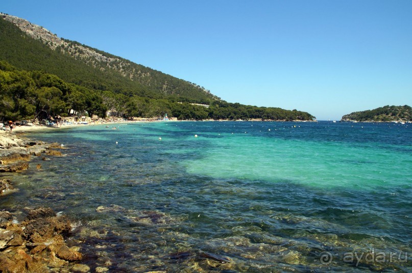 фото Flamboyan Caribe