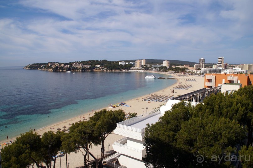 фото Flamboyan Caribe