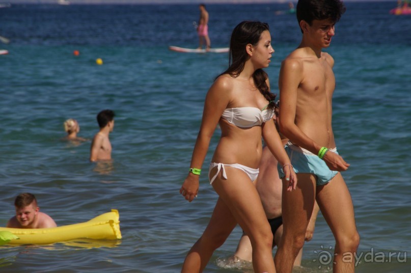 фото Flamboyan Caribe