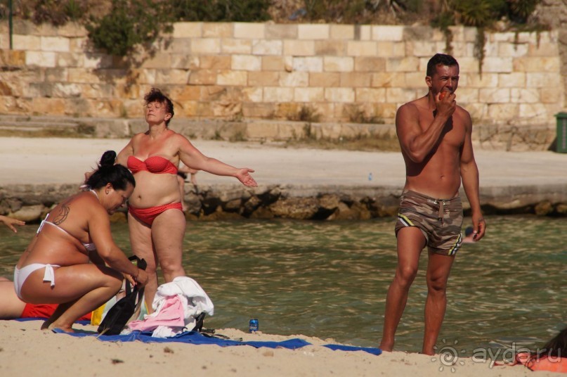 фото Flamboyan Caribe