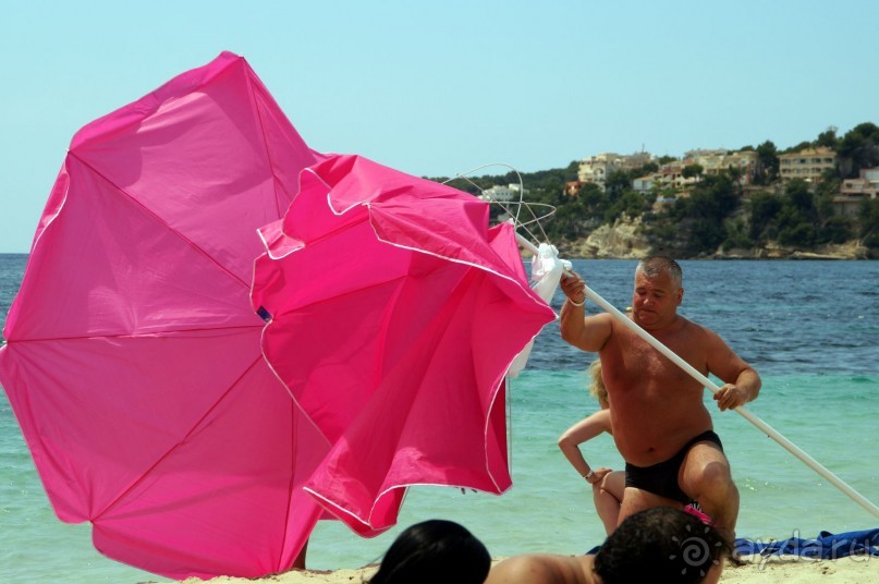 фото Flamboyan Caribe