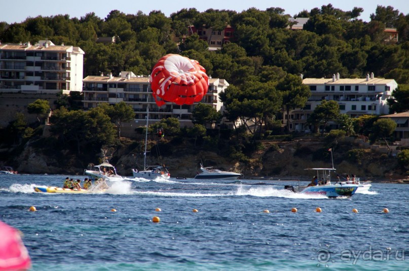 фото Flamboyan Caribe
