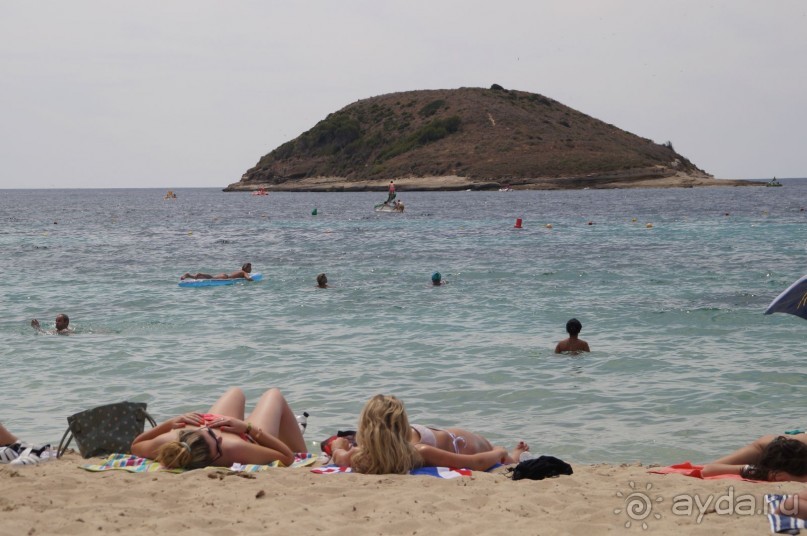 фото Flamboyan Caribe