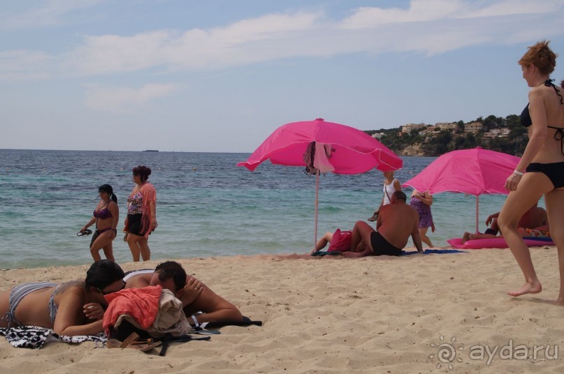 фото Flamboyan Caribe