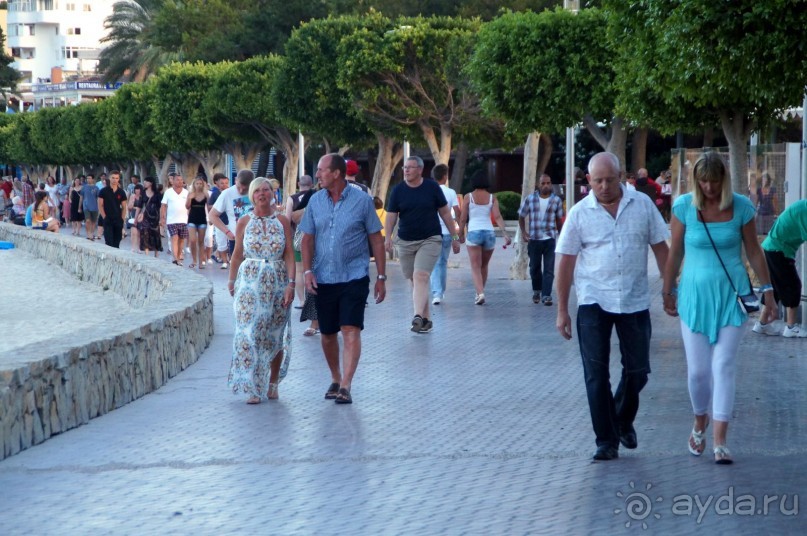 фото Flamboyan Caribe