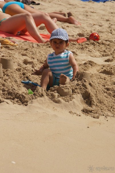 фото Flamboyan Caribe