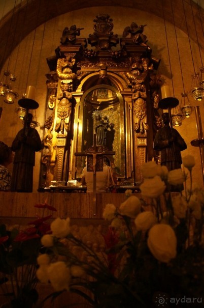 фото Flamboyan Caribe