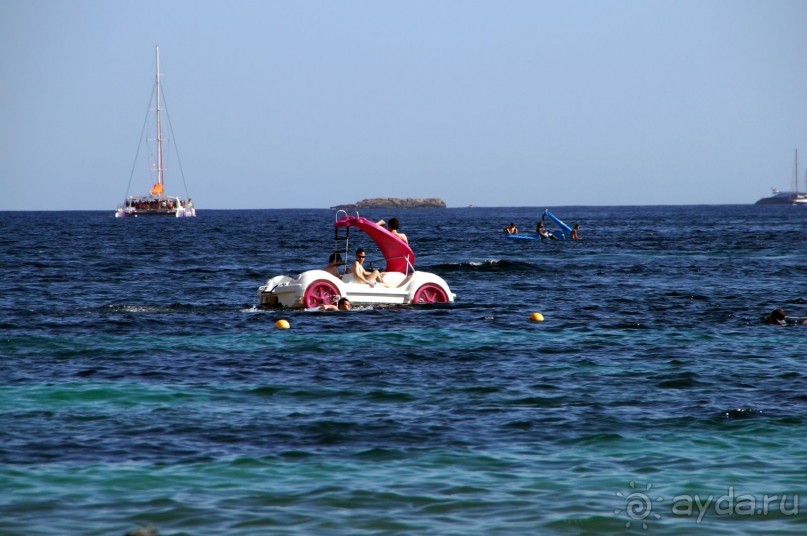 фото Flamboyan Caribe