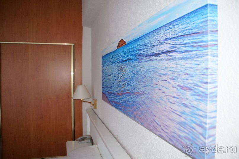 фото Flamboyan Caribe