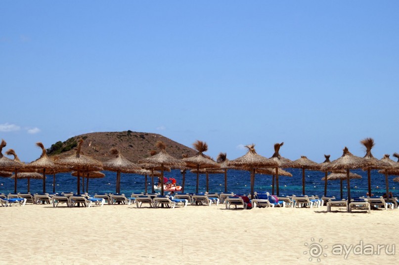 фото Flamboyan Caribe