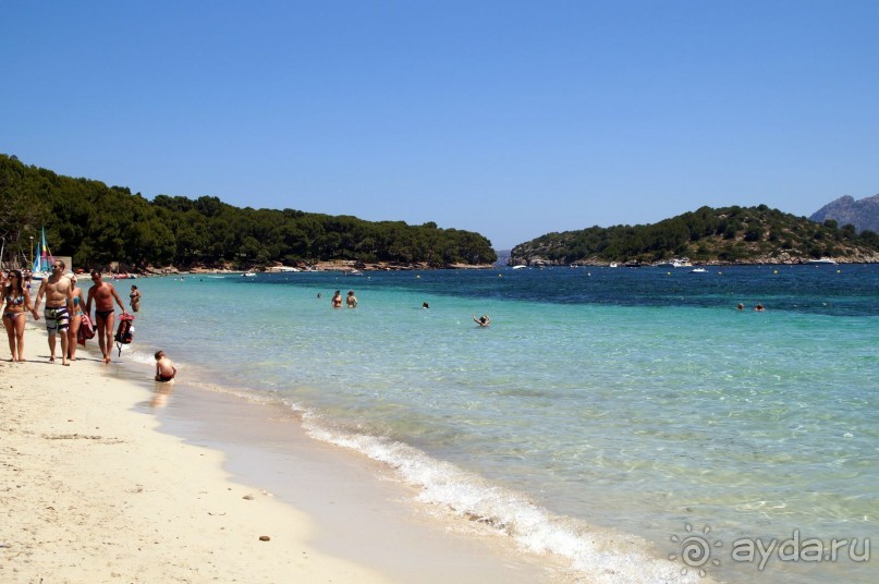 фото Flamboyan Caribe