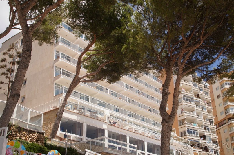 фото Flamboyan Caribe