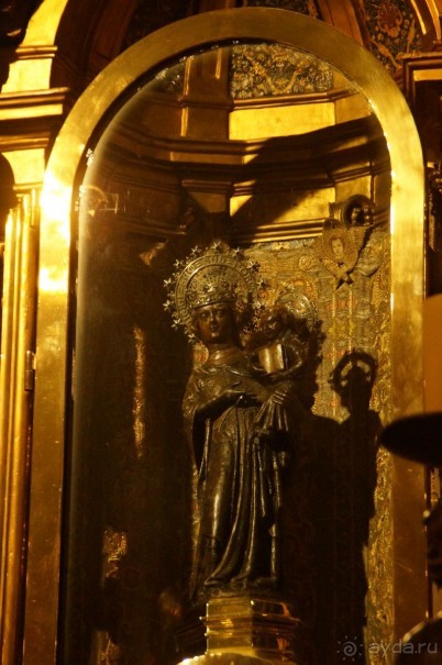 фото Flamboyan Caribe