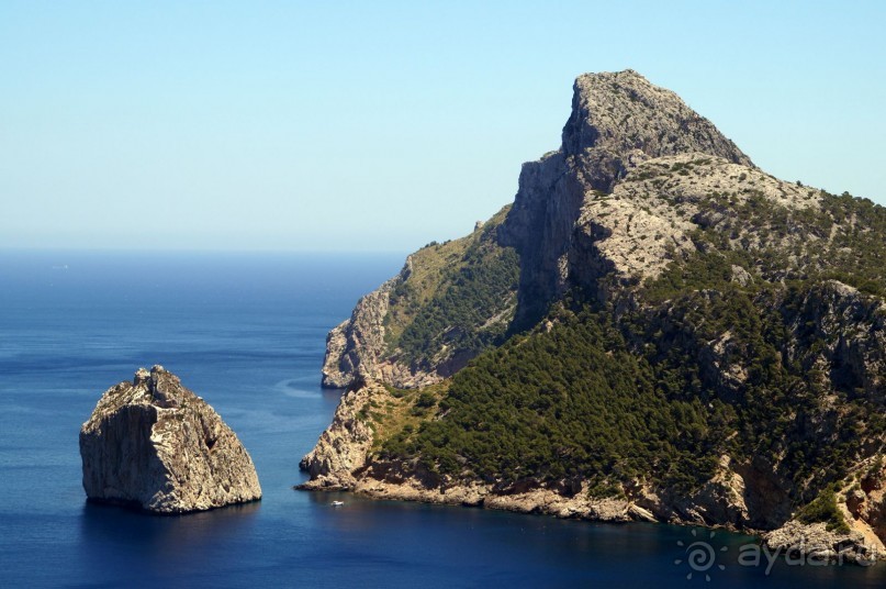 фото Flamboyan Caribe