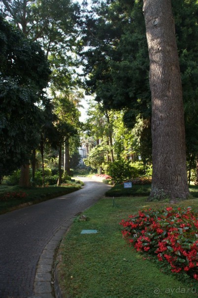 рекомендую!