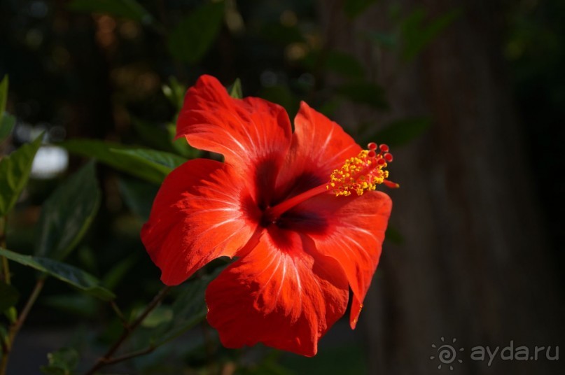 рекомендую!