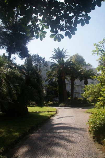 рекомендую!