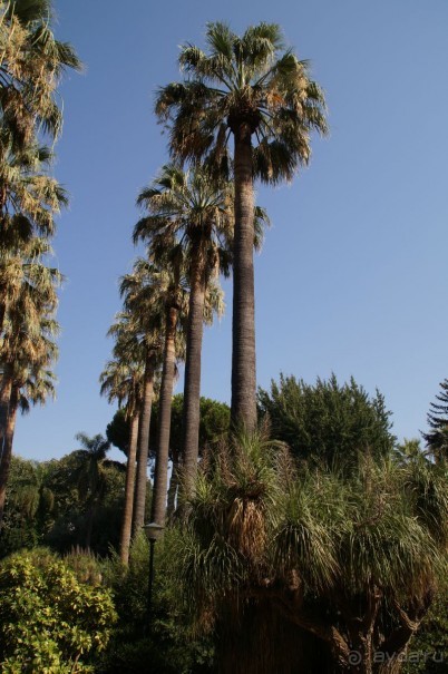 рекомендую!