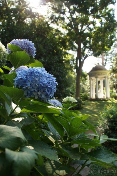 рекомендую!