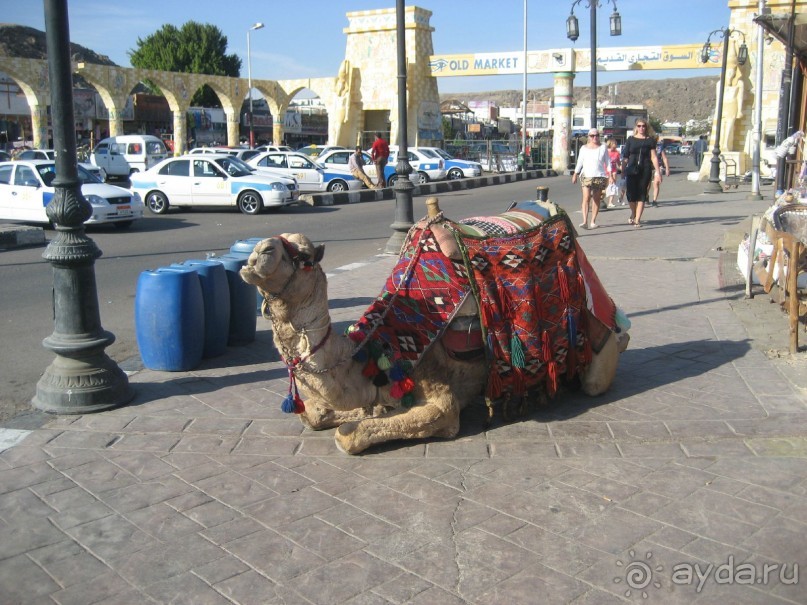 Лето посреди зимы