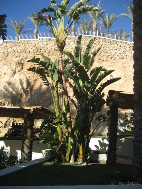 Лето посреди зимы